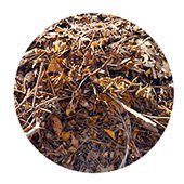 https://maxrecycling.co.nz/wp-content/uploads/2025/04/mulch-sv2.jpg